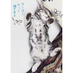 グーグーだって猫である　ニャンダフル・ディスク付き（ＤＶＤ）