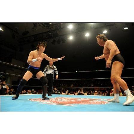 LEGEND THE PRO-WRESTLING 2012 革命戦士・長州力vs破壊王子