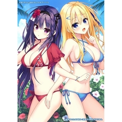 Nintendo Switch　セレクトオブリージュ　初回限定特装版