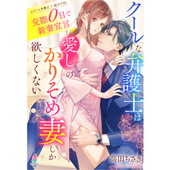 クールな弁護士は愛しのかりそめ妻しか欲しくない