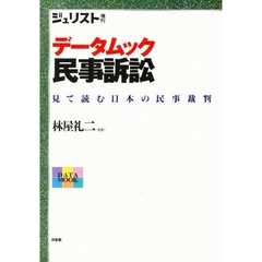 データムック　民事訴訟