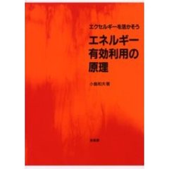 エネルギー有効利用の原理　エクセルギーを活かそう