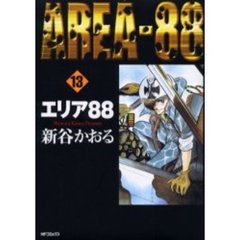 エリア８８　　１３