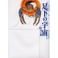 足下の宇宙