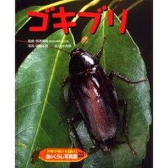 ドキドキいっぱい！虫のくらし写真館　２３　ゴキブリ