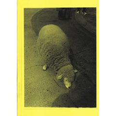 朱いろうそくと金魚