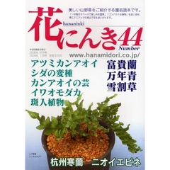 花にんき　ナンバー４４　シダ　斑入山野草・アツミカンアオイ・クリスマスローズ・ニオイエビネ　杭州寒蘭・万年青・富貴蘭・イワオモダカ・カントウカンアオイ