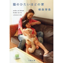 猫のひたいほどの家