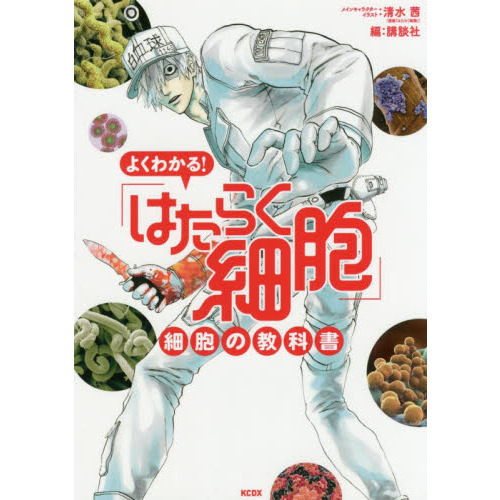 よくわかる！「はたらく細胞」細胞の教科書 通販｜セブンネット