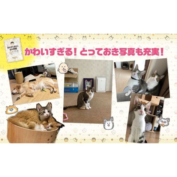 Amazon.co.jp: まめきちまめこ パスケース アベイル シンバ