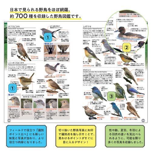 ♪鳥くんの比べて識別！野鳥図鑑６７０　第４版