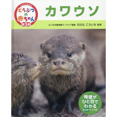 くらべてみよう！どうぶつの赤ちゃん　２３　カワウソ