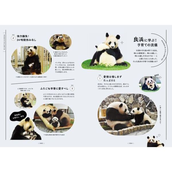 またね、尊いパンダたち。 旅に出たアドベンチャーワールドの浜家 通販