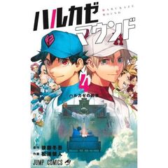 ハルカゼマウンド　４