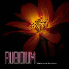 RUBIDIUM