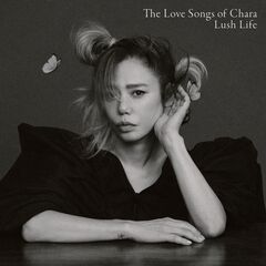 大森元貴 OITOMA GOODSのみ Amazon.co.jp: ⁡⁡大森元貴 OITOMA ( 完全限定生産BOX )(Music Card