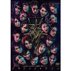 ピカレスク◆セブン（ＤＶＤ）