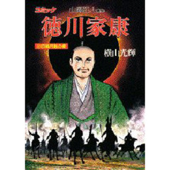 徳川家康　コミック　１７　日蝕月蝕の章