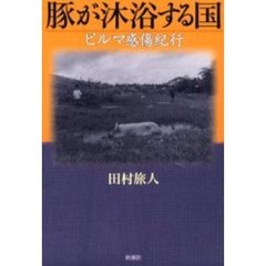 豚が沐浴する国　ビルマ感傷紀行