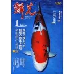鱗光　２００５－１月号　新潟県中越地震・野池に残された錦鯉の救出大作戦