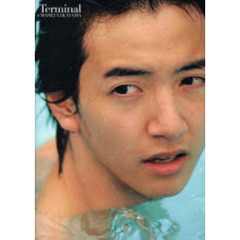 Ｔｅｒｍｉｎａｌ　中山麻生ＰＨＯＴＯ　ＢＯＯＫ
