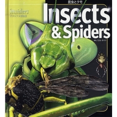 昆虫とクモ
