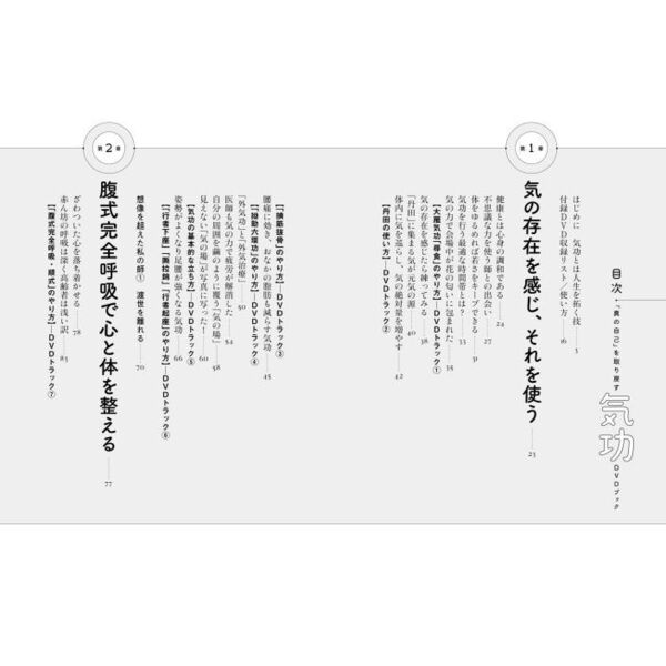 真の自己」を取り戻す気功DVDブック ざわついた心を鎮める