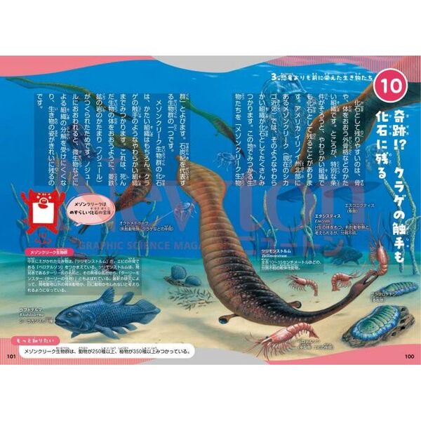 ニュートン科学の学校シリーズ　全11冊セット　宇宙の学校　海の学校　古生物の学校 ニュートン科学の学校シリーズ 古生物の学校 | ニュートンプレス
