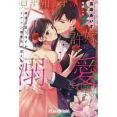 見ず知らずの許嫁に溺愛されてます　路頭に迷うはずがイケメン御曹司が迎えに来て！？