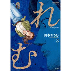 れむ　ａ　ｓｔｒａｙ　ｃａｔ　３