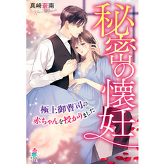秘密の懐妊～極上御曹司の赤ちゃんを授かりました～