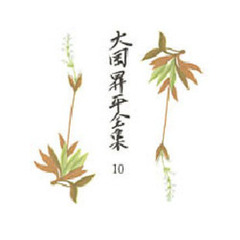 大岡昇平全集　１０