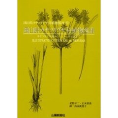 岡山県カヤツリグサ科植物図譜　カヤツリグサ属からシンジュガヤ属まで