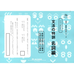 文法の特訓　名詞編