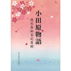 小田原物語　後北条始末記異聞