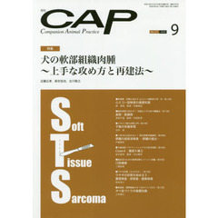 ＣＡＰ　３７５