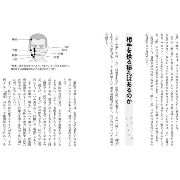 北斗神拳の謎に迫る 秘孔の真実 空手 と 経絡理論 で考察 通販 セブンネットショッピング