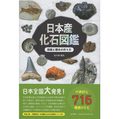 日本産化石図鑑　採集と標本の作り方