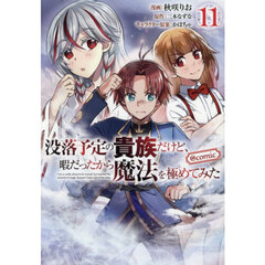 没落予定の貴族だけど、暇だったから魔法を極めてみた＠ＣＯＭＩＣ　１１