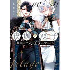 夜伽の双子　贄姫は二人の王子に愛される　１１