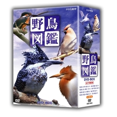野鳥図鑑 DVD-BOX（ＤＶＤ）