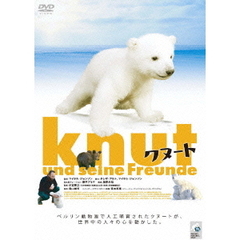 クヌート（ＤＶＤ）