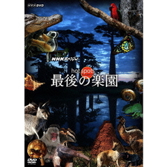 NHKスペシャル ホットスポット 最後の楽園 DVD-BOX（ＤＶＤ）