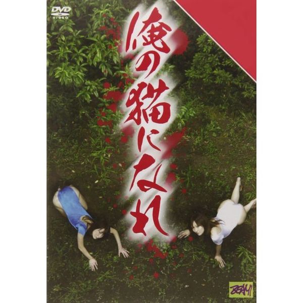 「俺の猫になれ」 SPECIAL PRICE版(DVD)