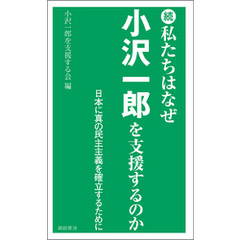 続 私たちはなぜ小沢一郎を支援するのか
