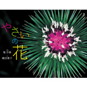 やさいの花