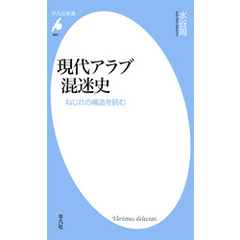 現代アラブ混迷史