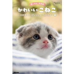 癒しのねこ写真集　かわいいこねこ　～大好き！ スコティッシュ・フォールド～ 3
