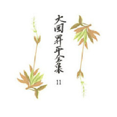 大岡昇平全集　１１