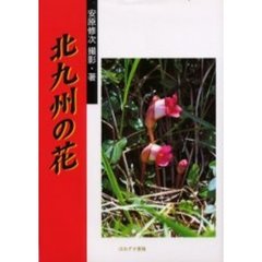 北九州の花